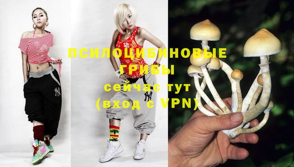 спиды Беломорск