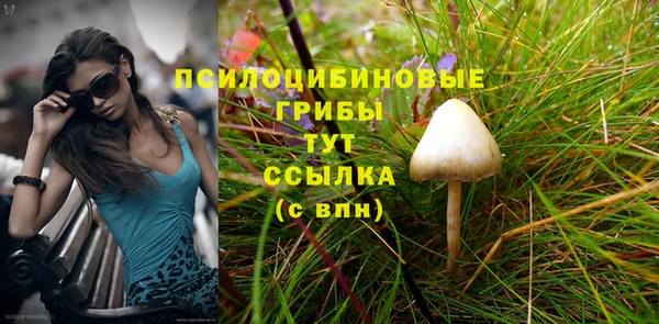 a pvp Медногорск