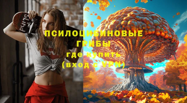 спиды Навашино